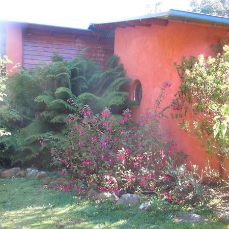 Whispering Spirit Holiday Cottages & Mini Ponies Franklin エクステリア 写真